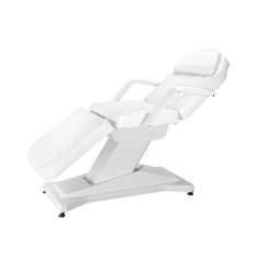 Camilla Eléctrica de 3 Cuerpos con Brazos Extraibles